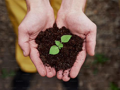 PA视讯集团ISO9001质量管理体系认证证书